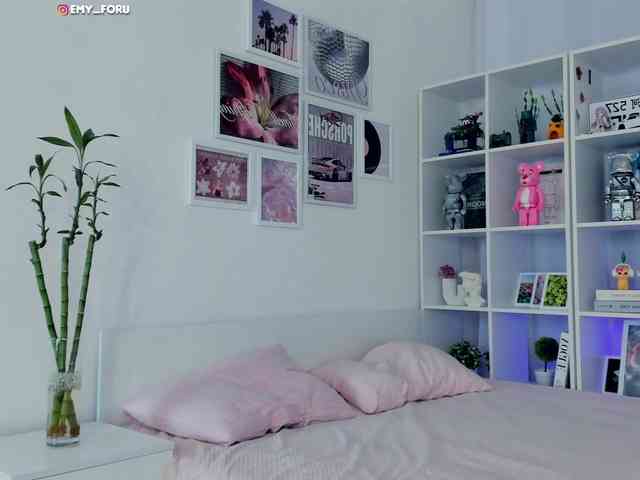 Emyforu webcam