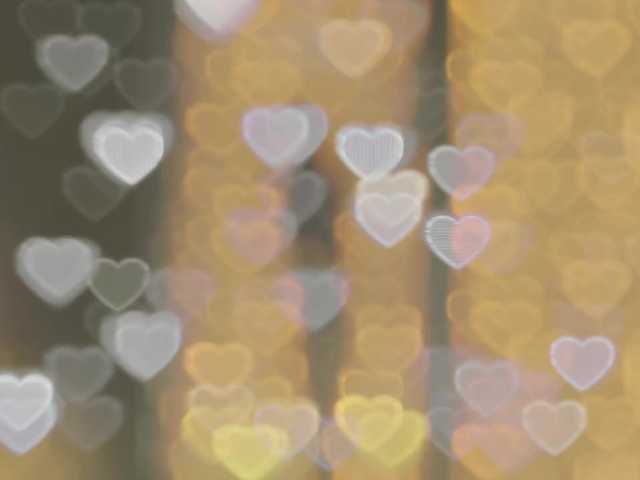 _LOTUS_ live cam preview