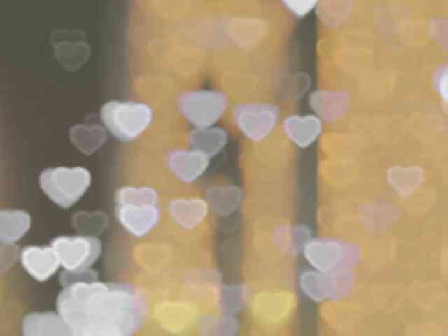 _LOTUS_ webcam