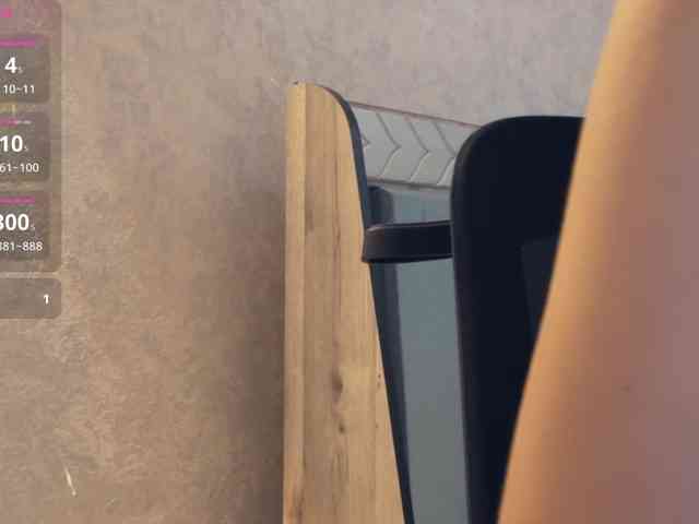 _LOTUS_ webcam
