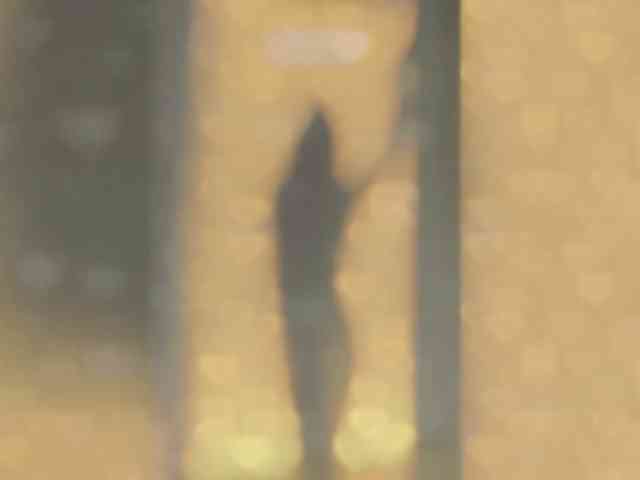 _LOTUS_ webcam