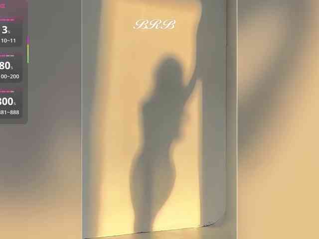 _LOTUS_ webcam
