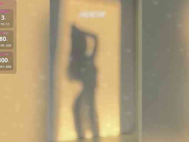 _LOTUS_ webcam