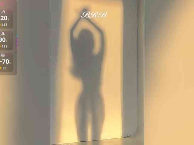 _LOTUS_ webcam