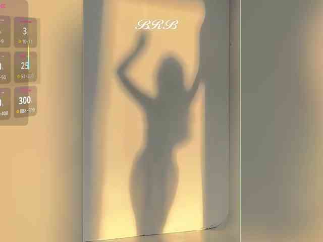 _LOTUS_ webcam