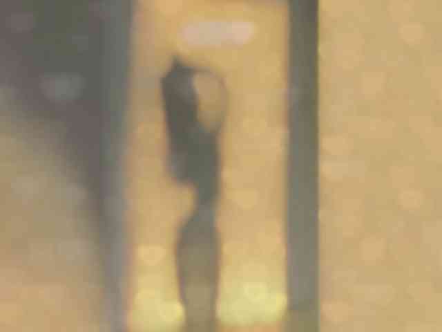 _LOTUS_ webcam
