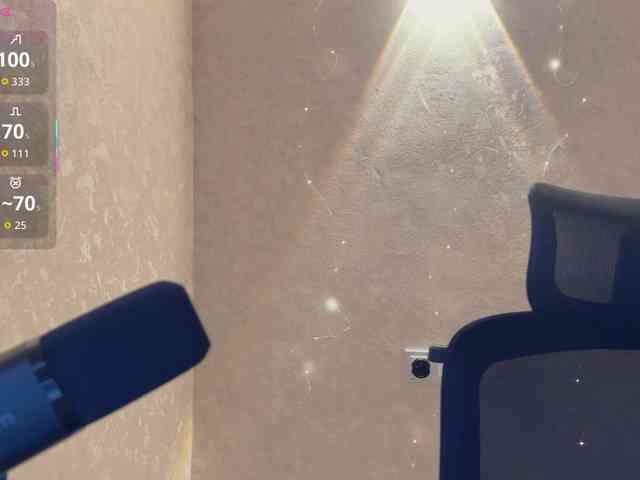 _LOTUS_ webcam