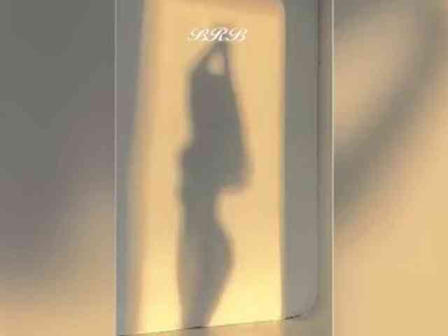 _LOTUS_ webcam