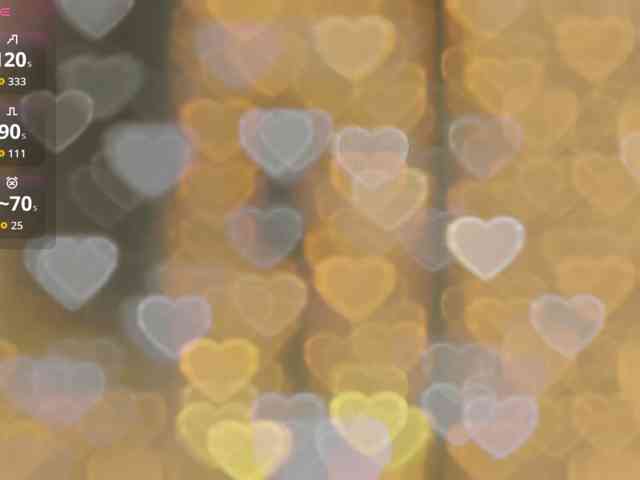 _LOTUS_ webcam