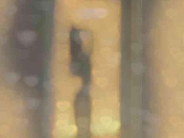 _LOTUS_ webcam