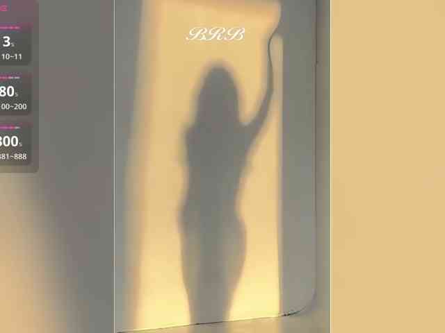 _LOTUS_ webcam