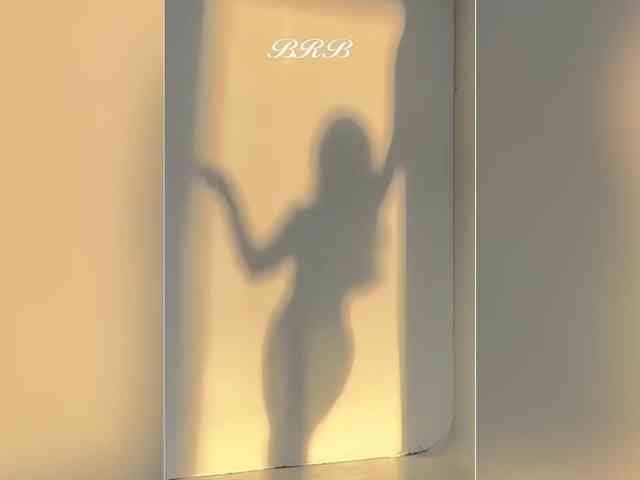_LOTUS_ webcam