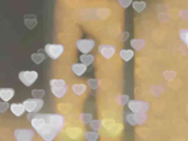 _LOTUS_ webcam