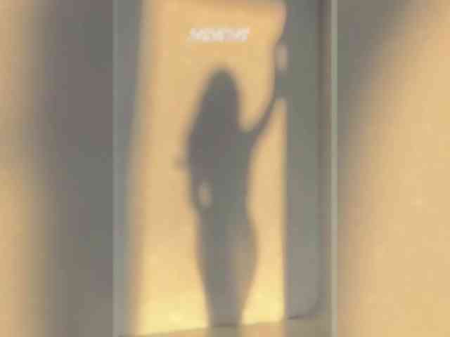 _LOTUS_ webcam