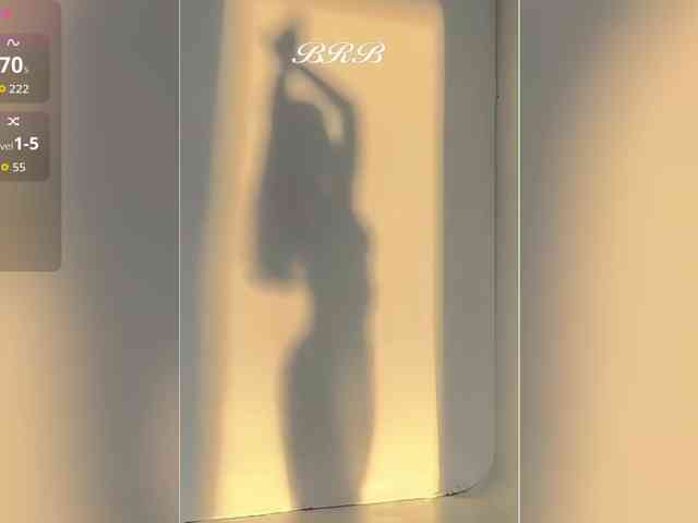 _LOTUS_ webcam