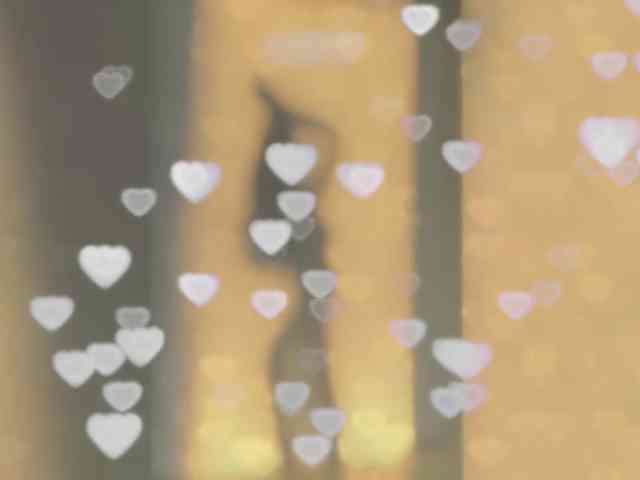 _LOTUS_ webcam