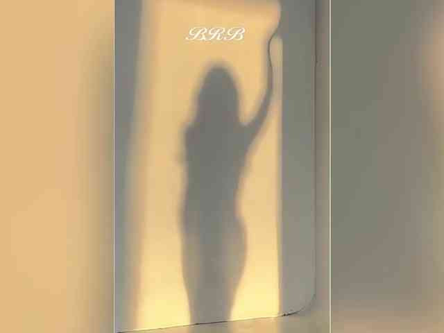 _LOTUS_ webcam