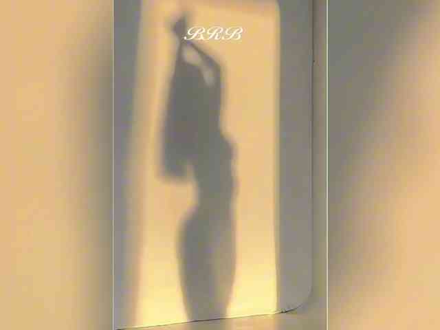 _LOTUS_ webcam