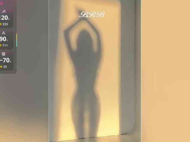 _LOTUS_ webcam