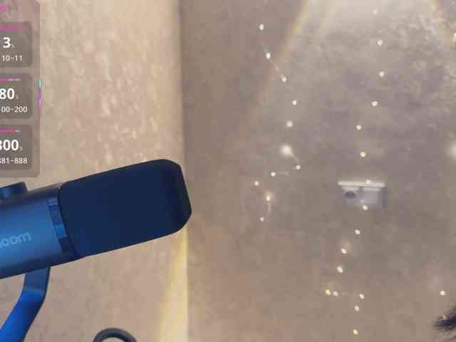 _LOTUS_ webcam