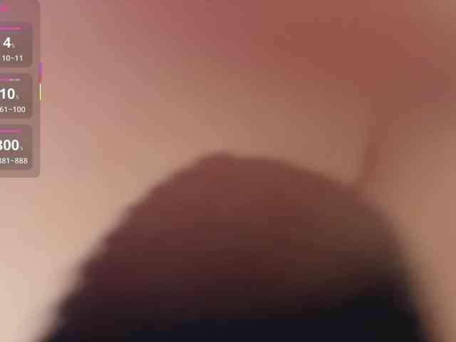 _LOTUS_ webcam