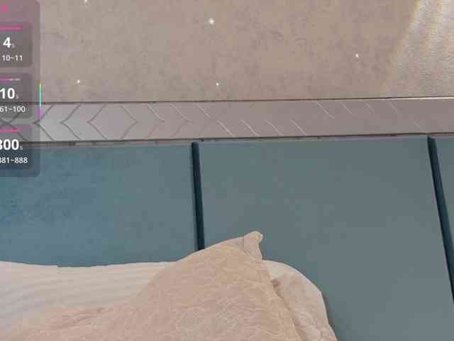_LOTUS_ webcam