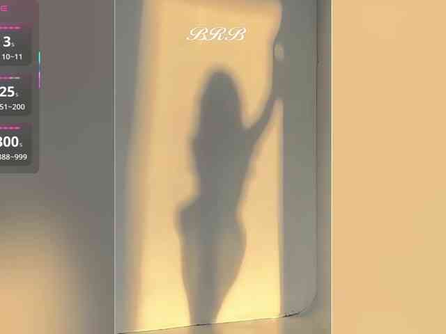 _LOTUS_ webcam