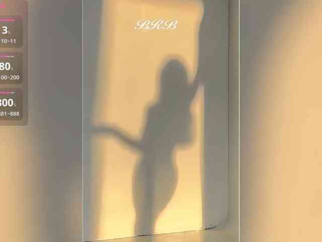 _LOTUS_ webcam