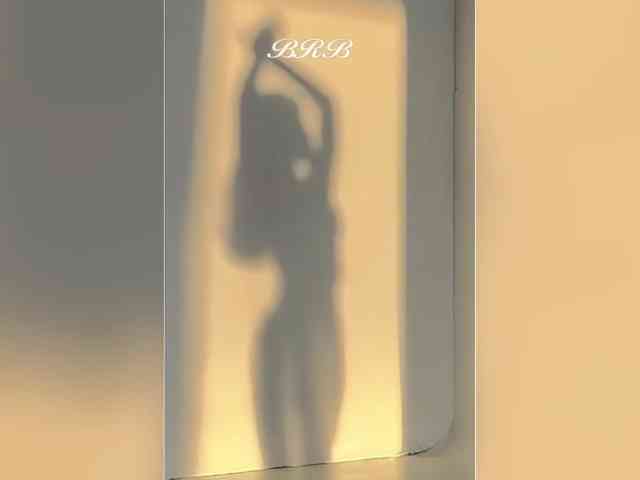 _LOTUS_ webcam