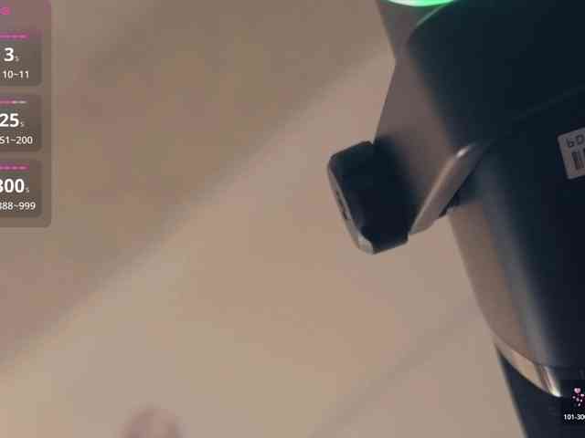 _LOTUS_ webcam