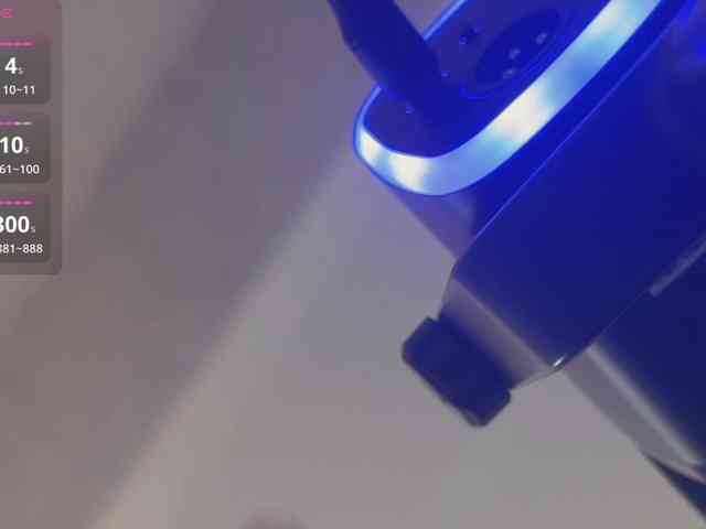 _LOTUS_ webcam