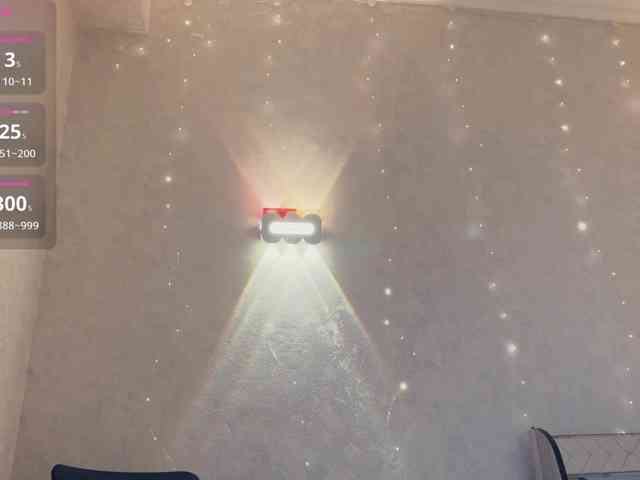 _LOTUS_ webcam