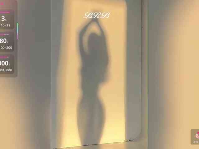 _LOTUS_ webcam