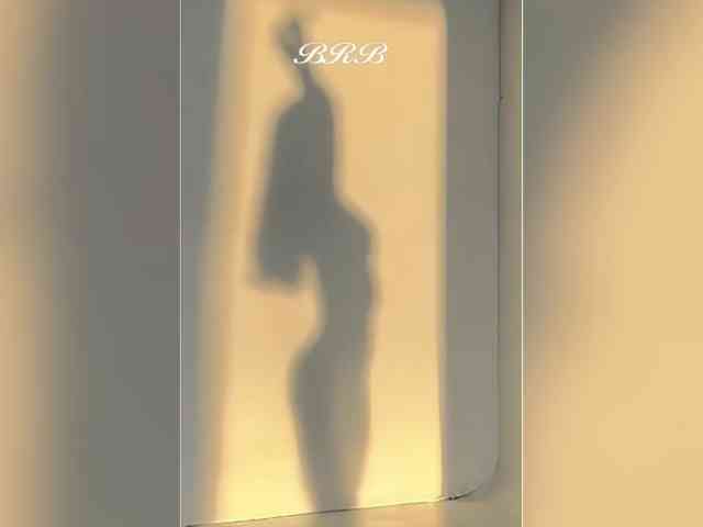 _LOTUS_ webcam