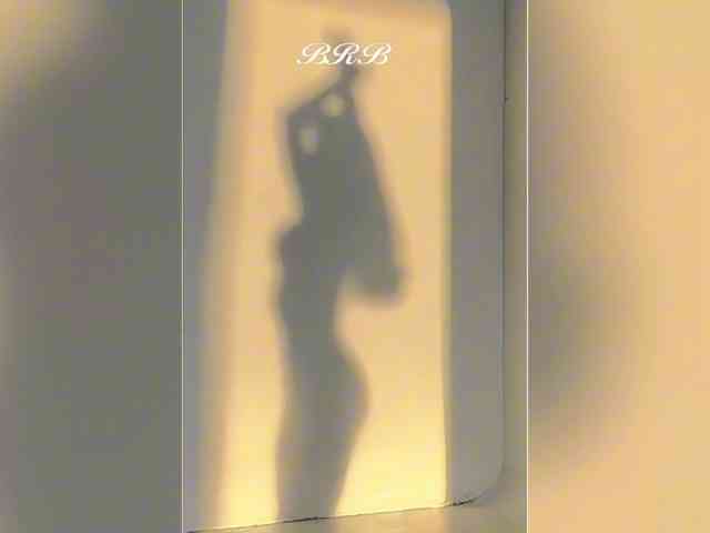 _LOTUS_ webcam