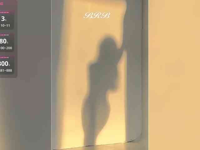 _LOTUS_ webcam