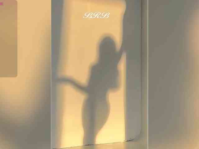 _LOTUS_ webcam