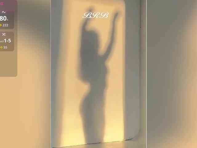 _LOTUS_ webcam