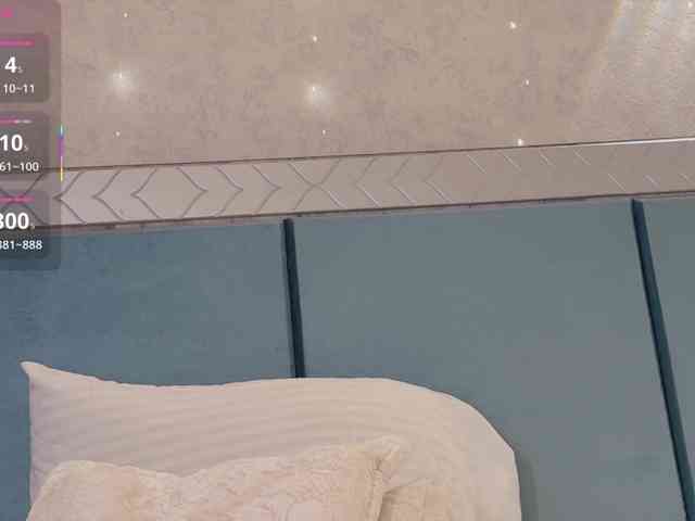 _LOTUS_ webcam