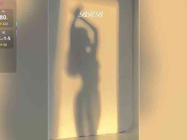 _LOTUS_ webcam