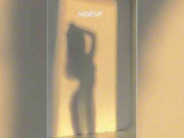 _LOTUS_ webcam