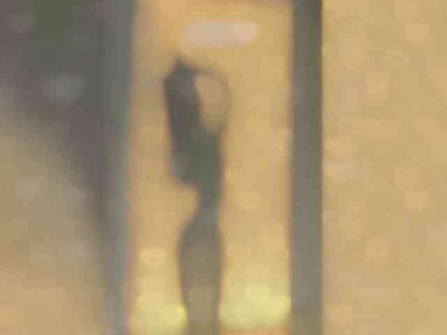 _LOTUS_ webcam