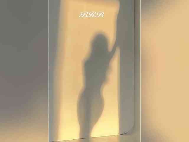 _LOTUS_ webcam