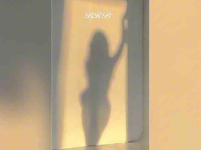 _LOTUS_ webcam