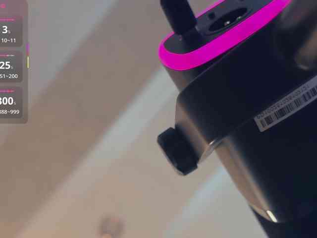 _LOTUS_ webcam