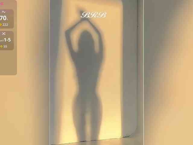 _LOTUS_ webcam
