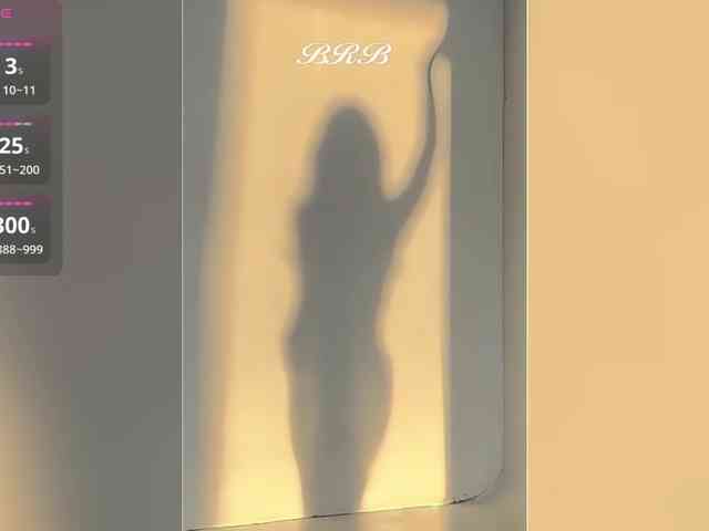 _LOTUS_ webcam