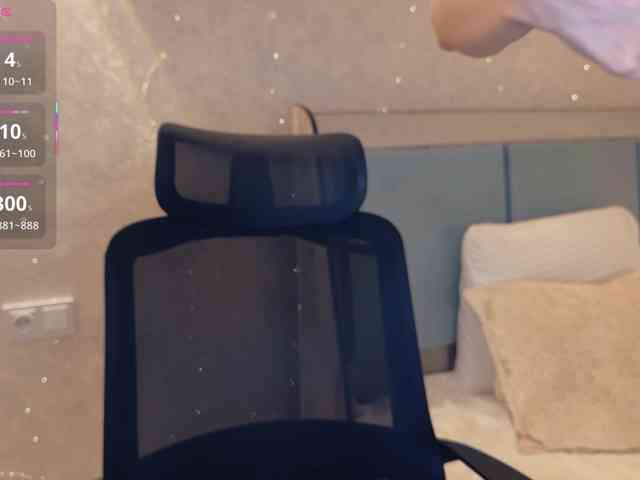 _LOTUS_ webcam