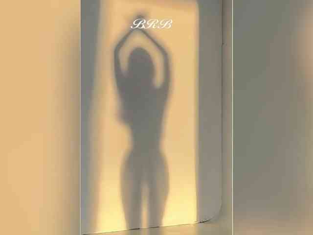 _LOTUS_ webcam