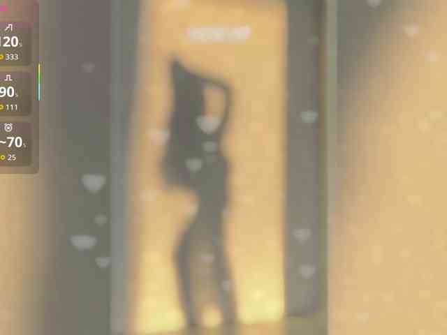 _LOTUS_ webcam